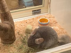 -龙猫仔乐园(惠福东路店)