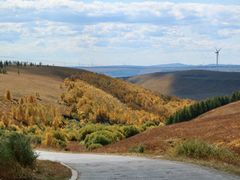 -塞罕坝国家级自然保护区