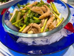 -海派美食·家宴海鲜青岛菜·石锅鲽鱼头(东方城店)