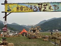-长沙黑麋峰国家森林公园