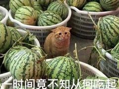 -瑞杰烧烤店·24小时营业(山东路店)