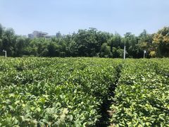-南京科技馆