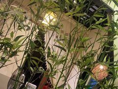 -泰山廊亦舫(丽景店)