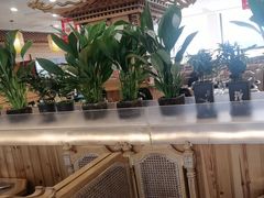-大清花饺子(山庄店)