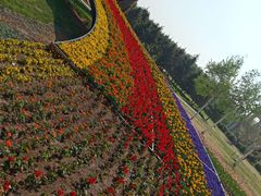 -长春公园(普阳街道)