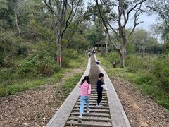 -青龙山国家森林公园