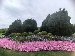 -棒棰岛宾馆景区
