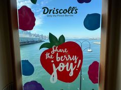 -Cupping Room(Harbour City)