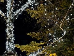 -中旅松花湖滑雪场