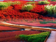 -红海滩国家风景廊道