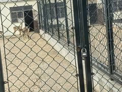 -秦皇岛野生动物园