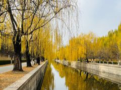 -元大都城垣遗址公园