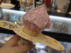 -野人先生现做冰淇淋(西安赛格店)