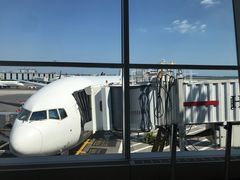 -约翰·菲茨杰拉德·肯尼迪国际机场