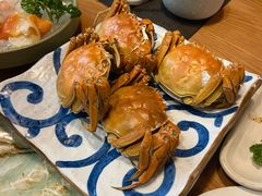 -菊上日式料理(蚌埠银泰店)