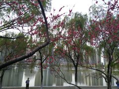 -西北湖绿化广场