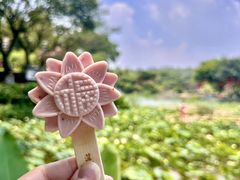 -广州莲花山旅游区
