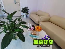 -天使医生VIP孕期孕检产检(市二医院店)