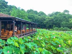 -铭莲·八卦田水上餐厅