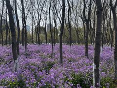 -白塘生态植物园