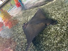 -珠海长隆海洋王国