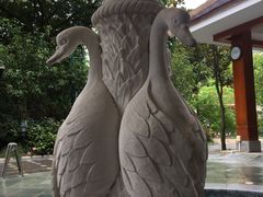 -碧水湾温泉
