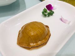 -席家花园(巨鹿花园店)