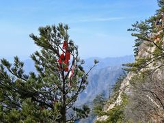 -老君山风景名胜区