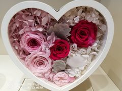 -ROSEONLY诺誓(沈阳万象城店)