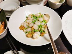 -上海苏宁宝丽嘉酒店·嘉府壹号中餐厅