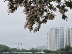-深圳人才公园