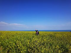 -青海湖国家重点风景名胜区