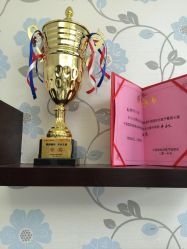 -MIVI野生眉纹绣纹眉