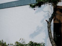 -东方艺术博物馆