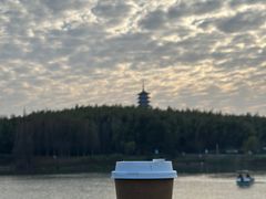 -宜兴龙背山森林公园