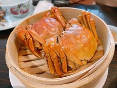-维园悦谱·海派家常菜(乌鲁木齐南路店)