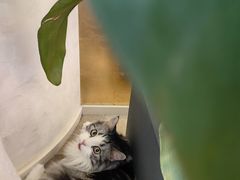 -恒悦轩·粤菜(上海展览中心店)