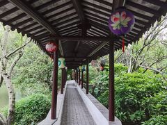 -上海醉白池公园