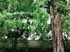 -三苏祠