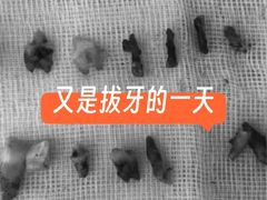 -东莞宠友24H宠物中心医院·转诊夜诊·异宠(新河北路院)