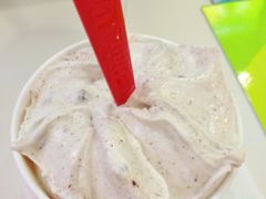 哈斯纳特-DQ(西苑店)