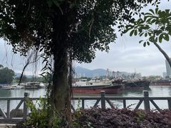 -小桂湾