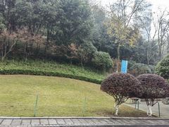 -龙头寺公园