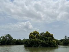 -大湾区中央湿地公园