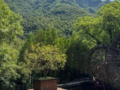 -长谷洞天