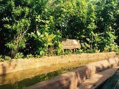 亚马逊漂流-河川生态园