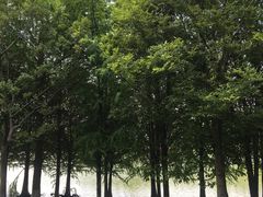 -苏州太湖国家湿地公园