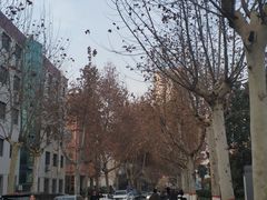 -西北大学(桃园校区)