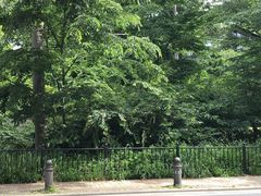 -三鹰之森吉卜力美术馆