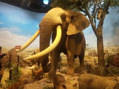 -陕西自然博物馆